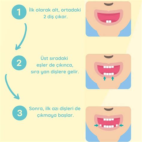 Diş başarı sırası
